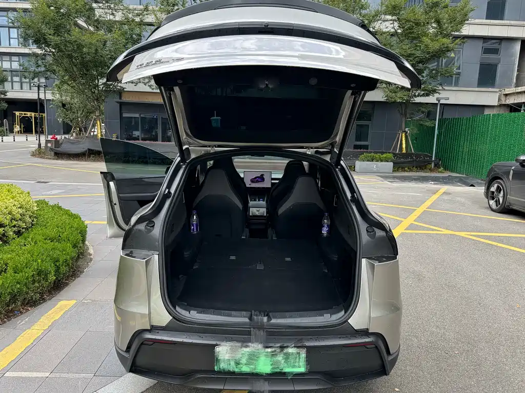 Tesla Model Y L — миниатюра 7