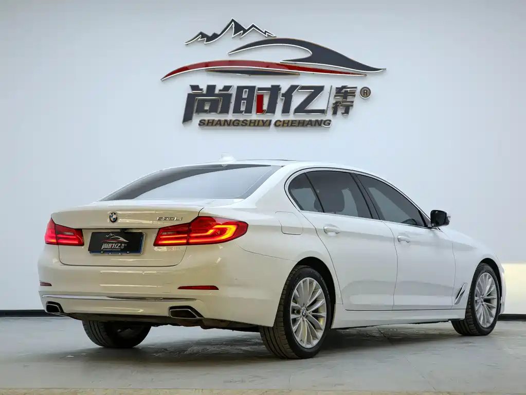 BMW 5 Series 5 2020 530Li Lead Luxury
