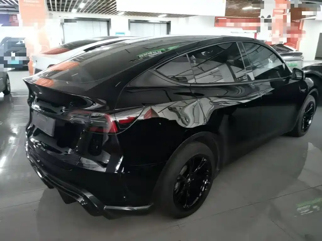 Tesla Model Y — миниатюра 7