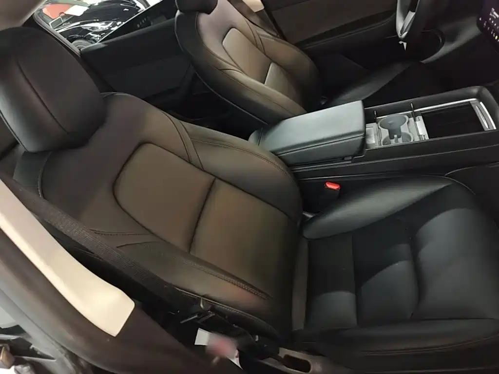 Tesla Model Y — миниатюра 25