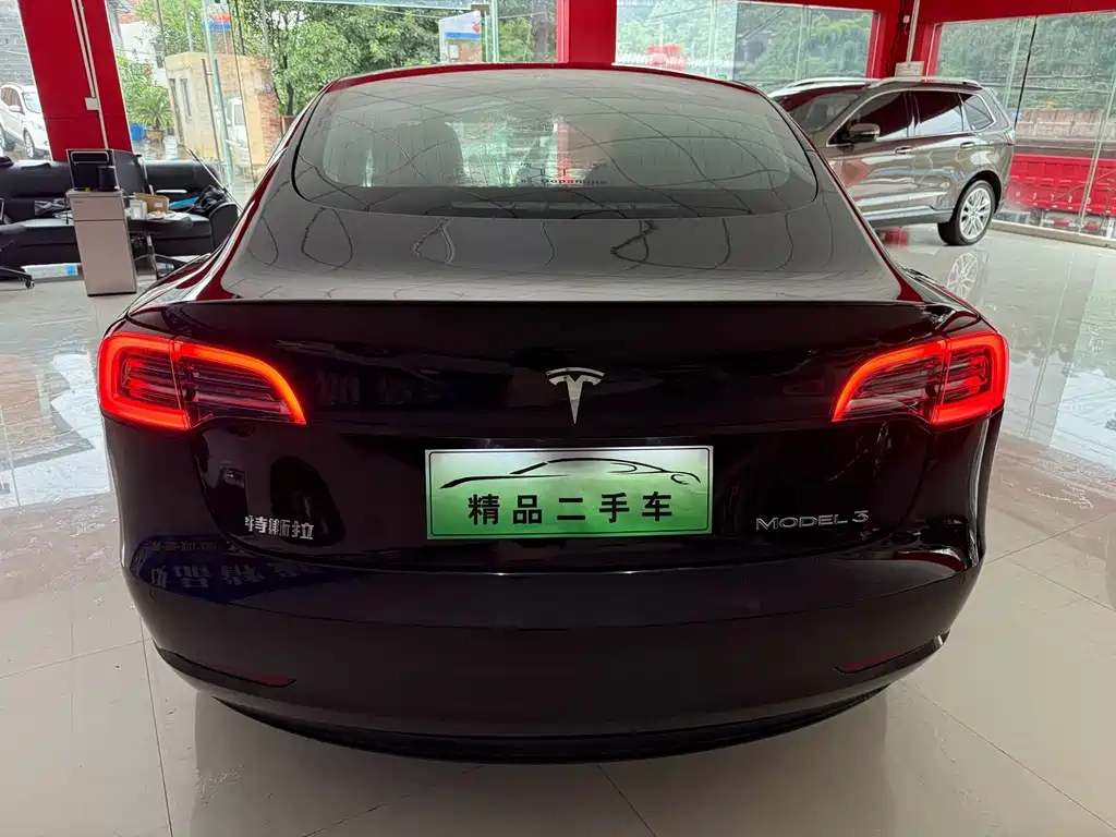 Tesla Model 3 — миниатюра 5