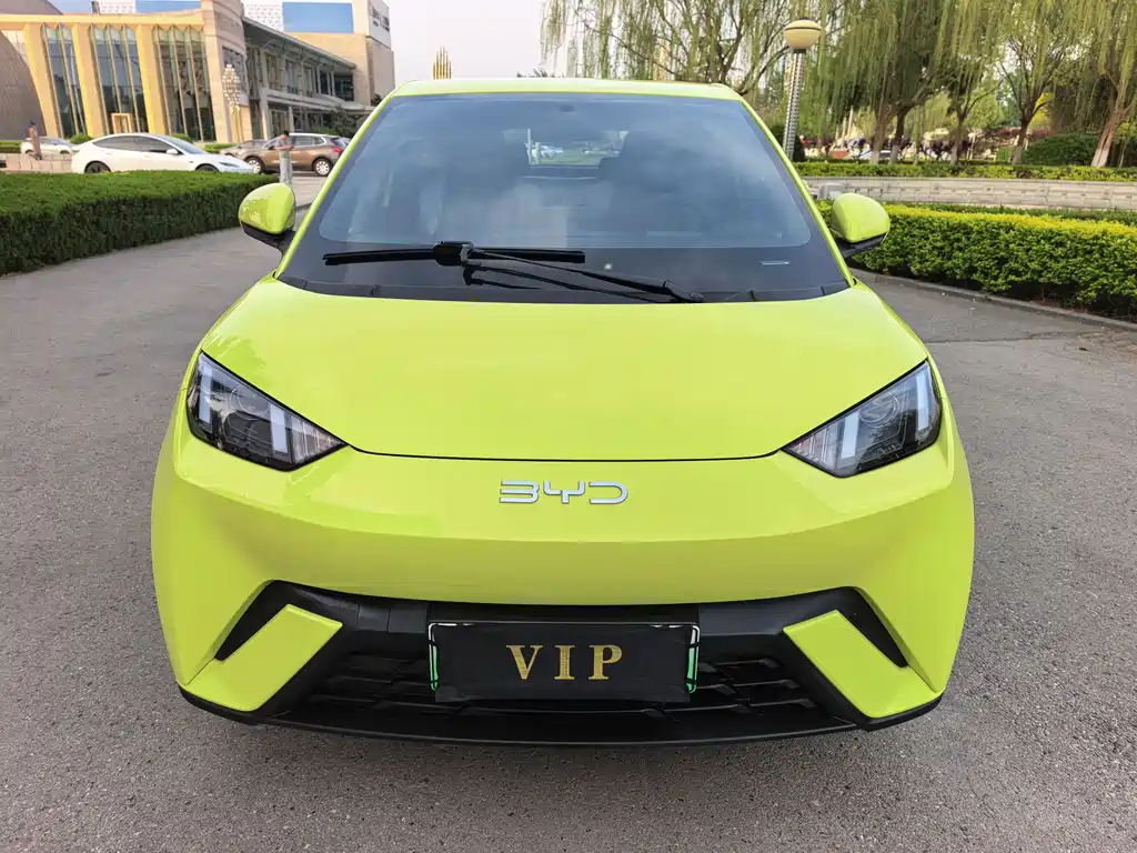 Byd Seagull 2024