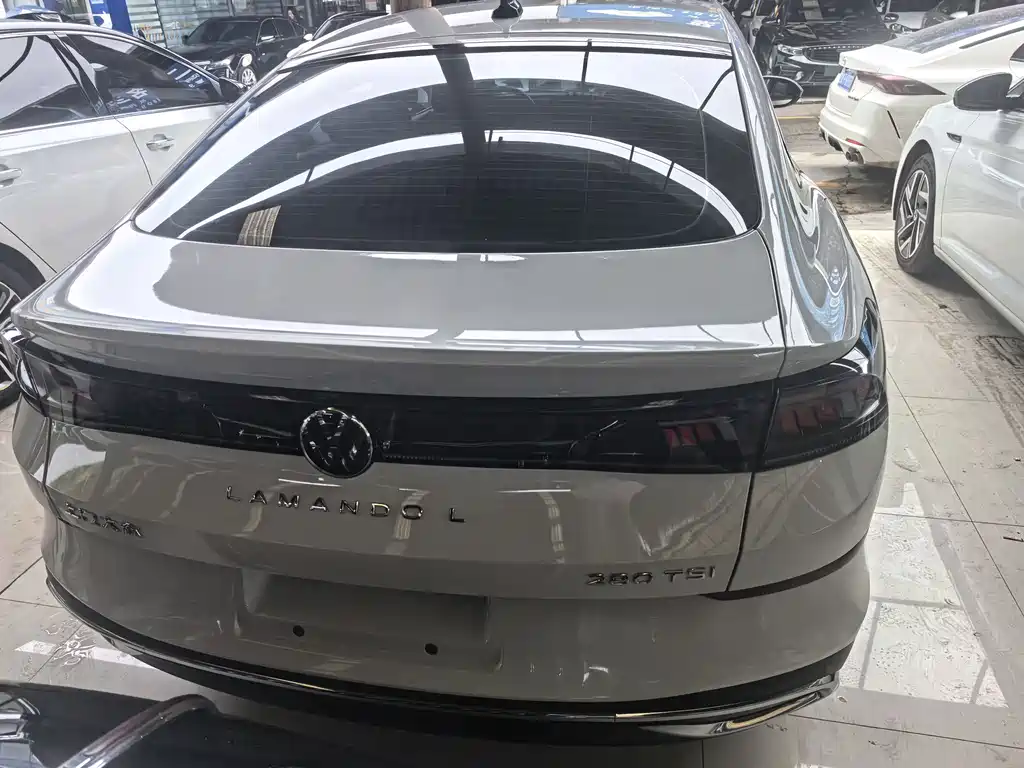 Volkswagen Lamando — миниатюра 9