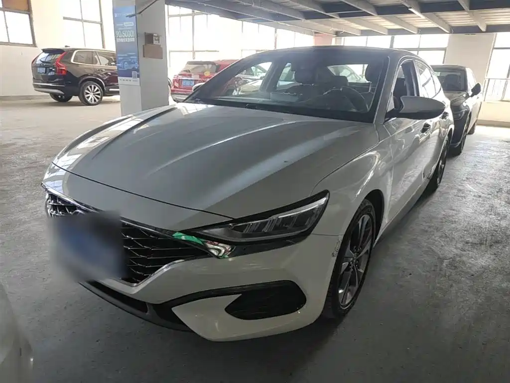 Hyundai Fista 2019