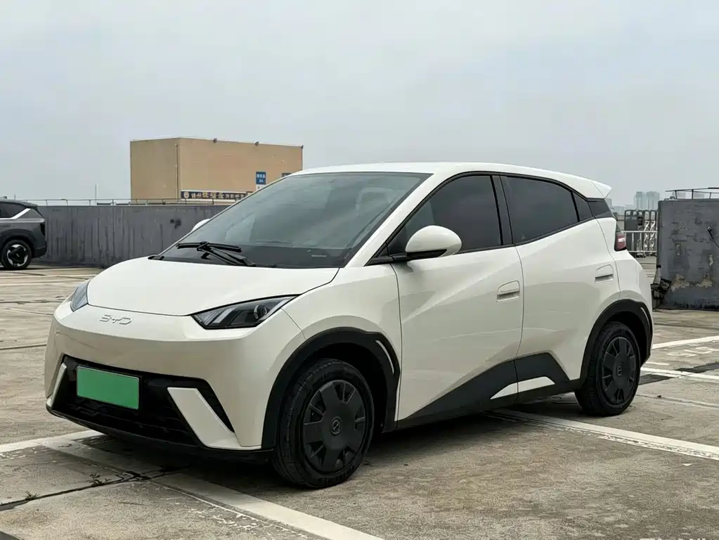 2024 BYD Seagull - zdjęcie 1 z 9