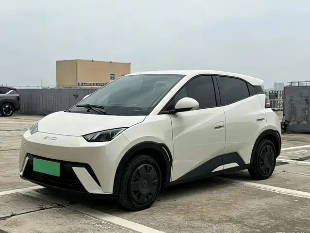 2024 BYD Seagull