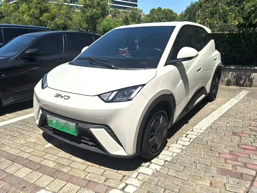 Byd Seagull 2025