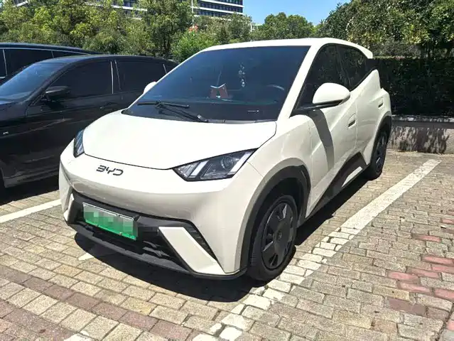 2025 BYD Seagull