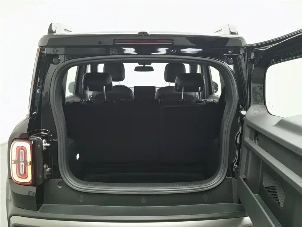 BAOJUN YUE ALSO PLUS