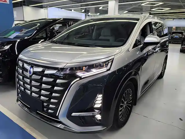 Denza D9