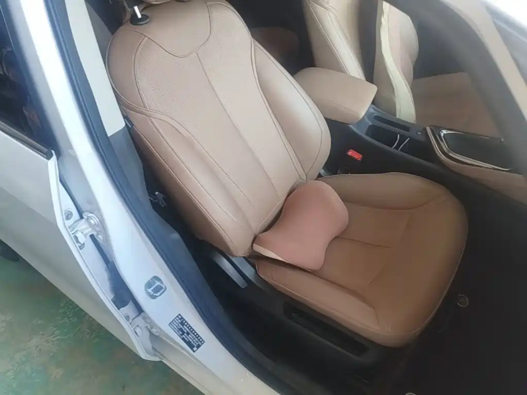 Buick GL6 — миниатюра 25