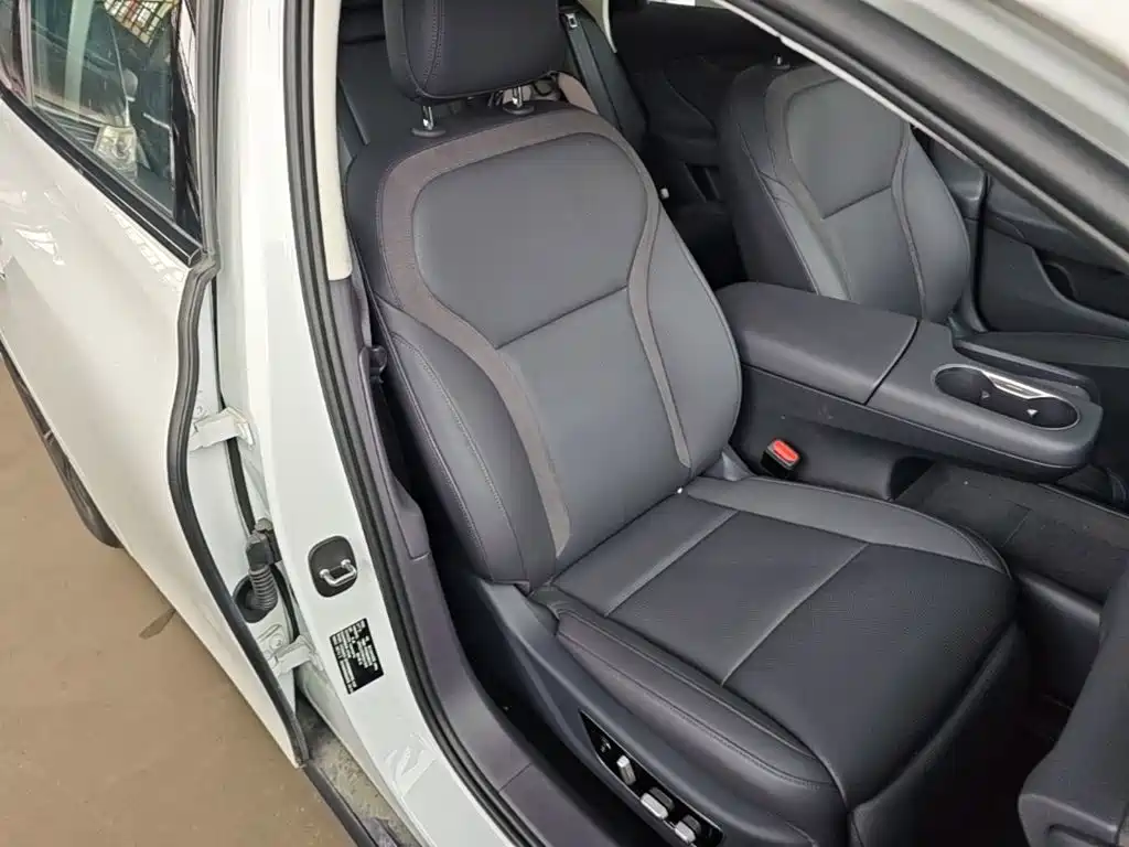 Hongqi Hongqi Tiangong 05 — миниатюра 25