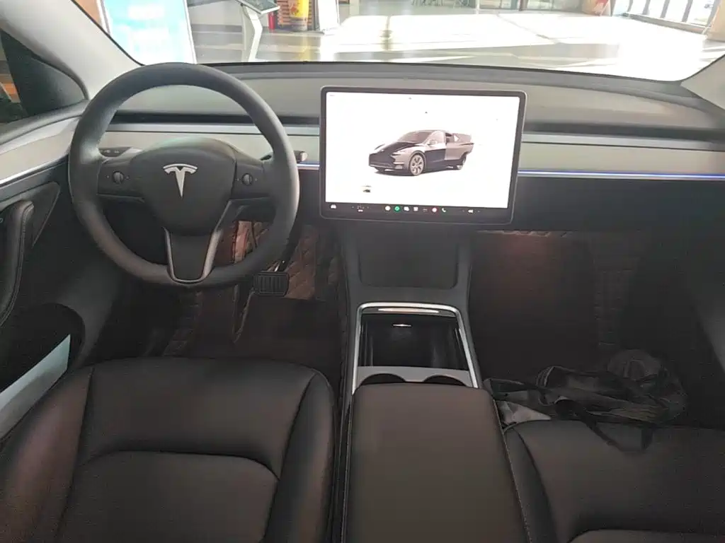 Tesla Model Y — миниатюра 10