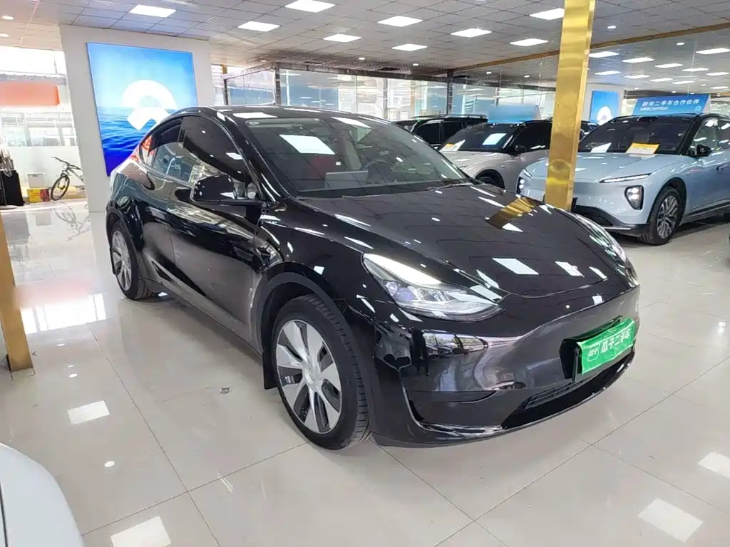 Tesla Model Y — миниатюра 4