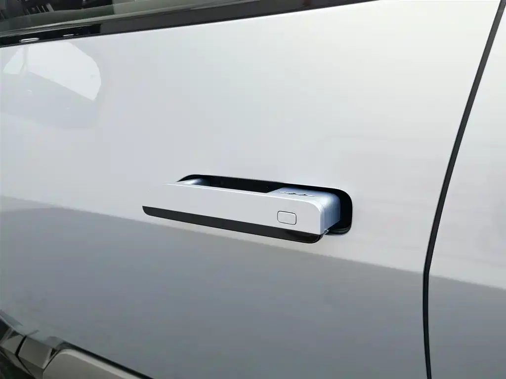 FANG CHENG BAO LEOPARD 8