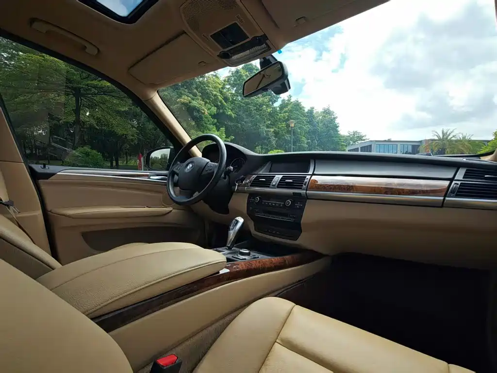 BMW X5 (Import) — миниатюра 8