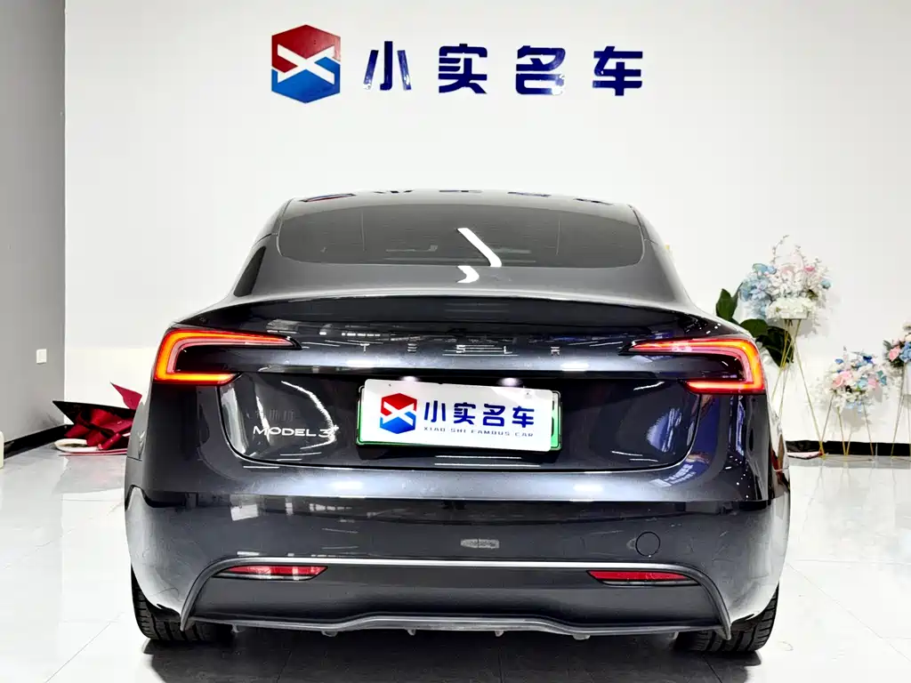 Tesla Model 3 — миниатюра 8