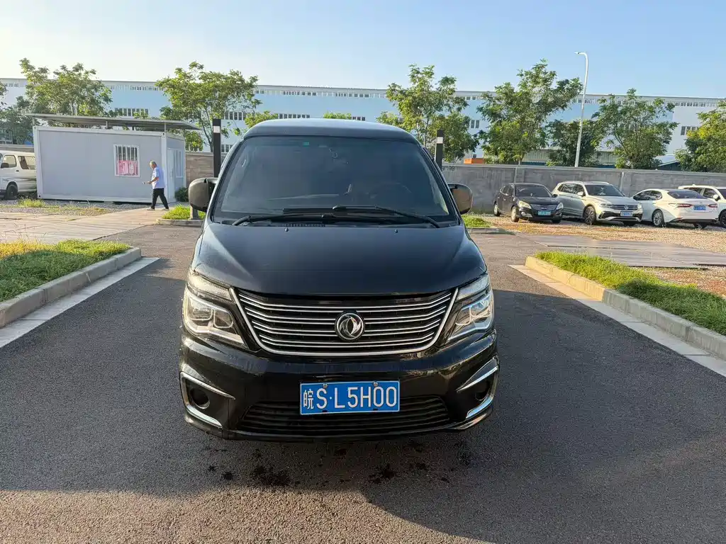 Fengxing Lingzhi