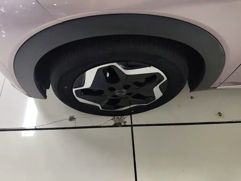 BYD Dolphin — миниатюра 23
