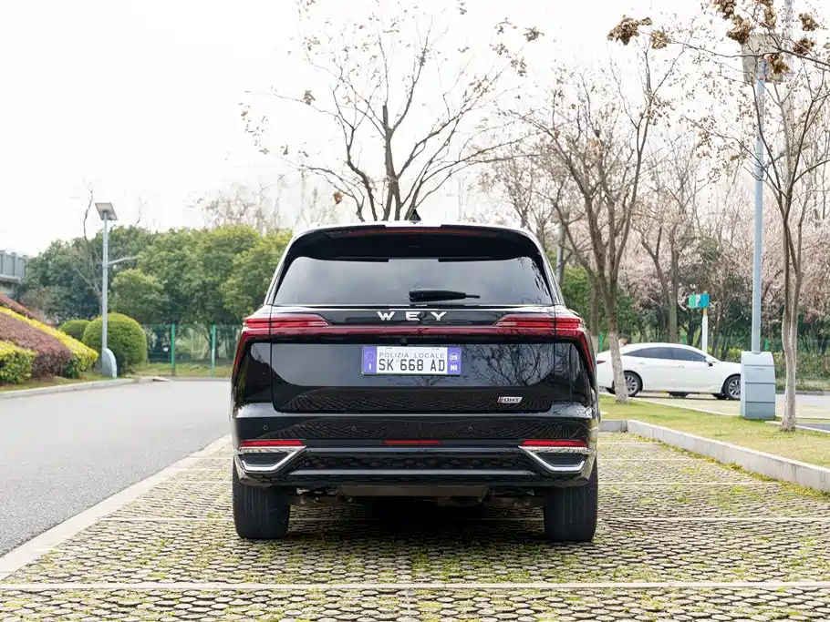 WEI PAI WEI BRAND BLUE MOUNTAIN