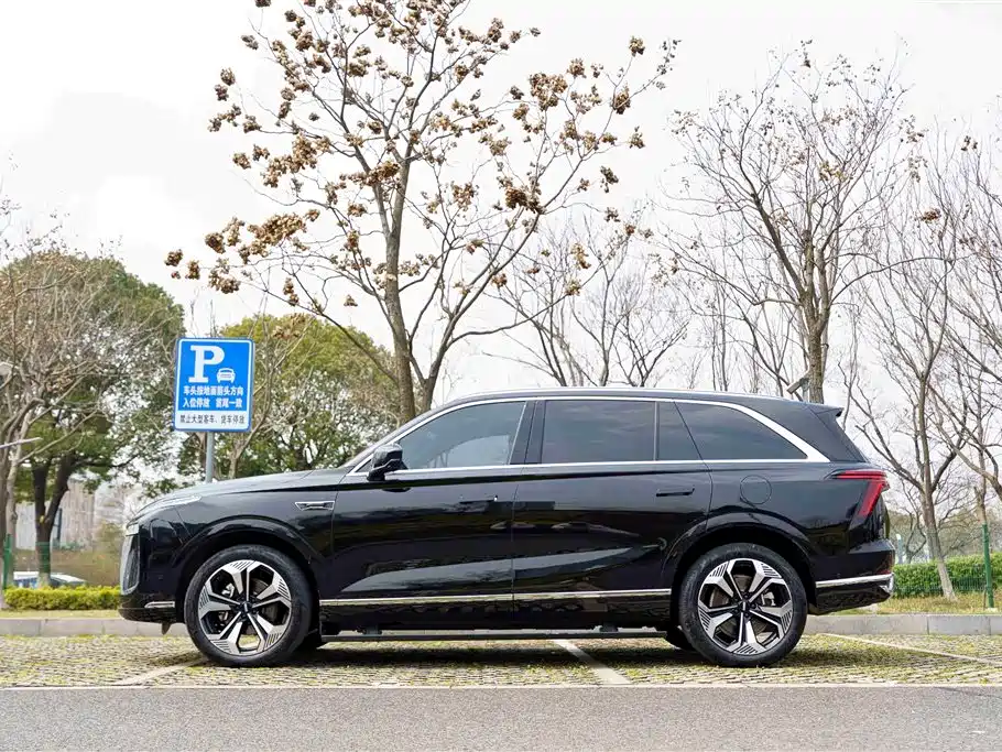 WEI PAI WEI BRAND BLUE MOUNTAIN