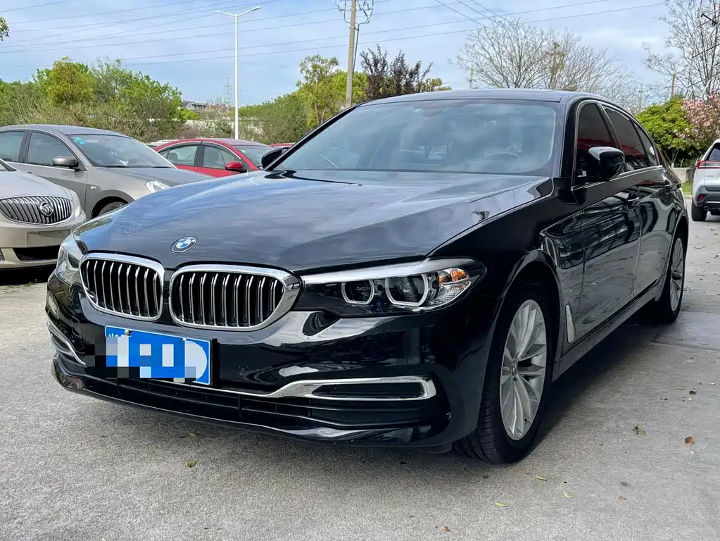 BMW 5 Series Facelift 525Li Luxury Package, фото 19