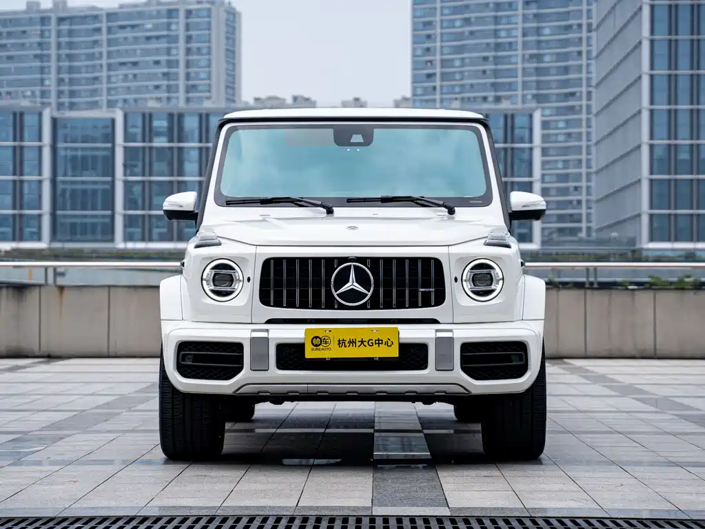 MERCEDES-BENZ G CLASS AMG