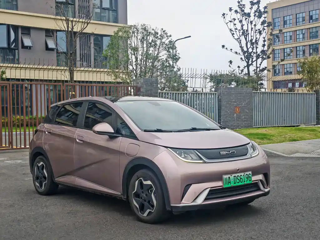 BYD Dolphin — миниатюра 2