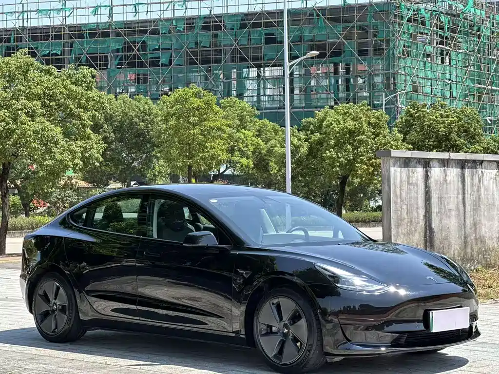 Tesla Model 3 — миниатюра 3