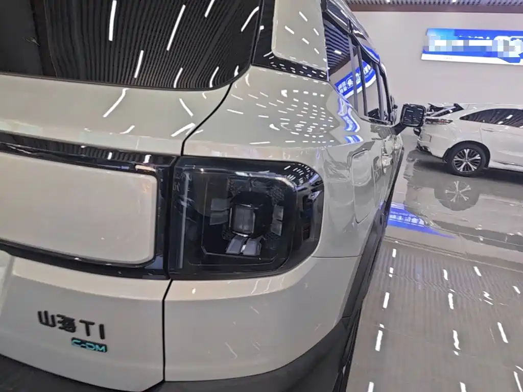Shanhai Shanhai T1 — миниатюра 8