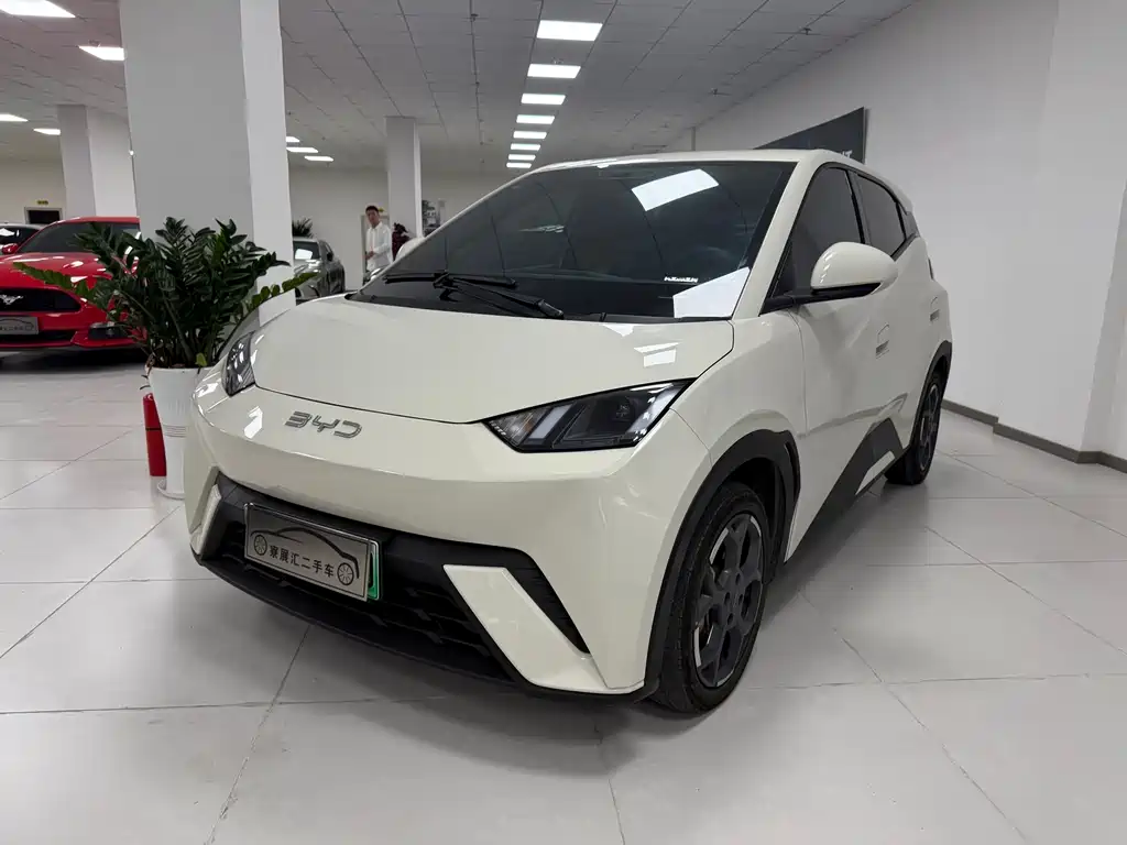 Byd Seagull 2024