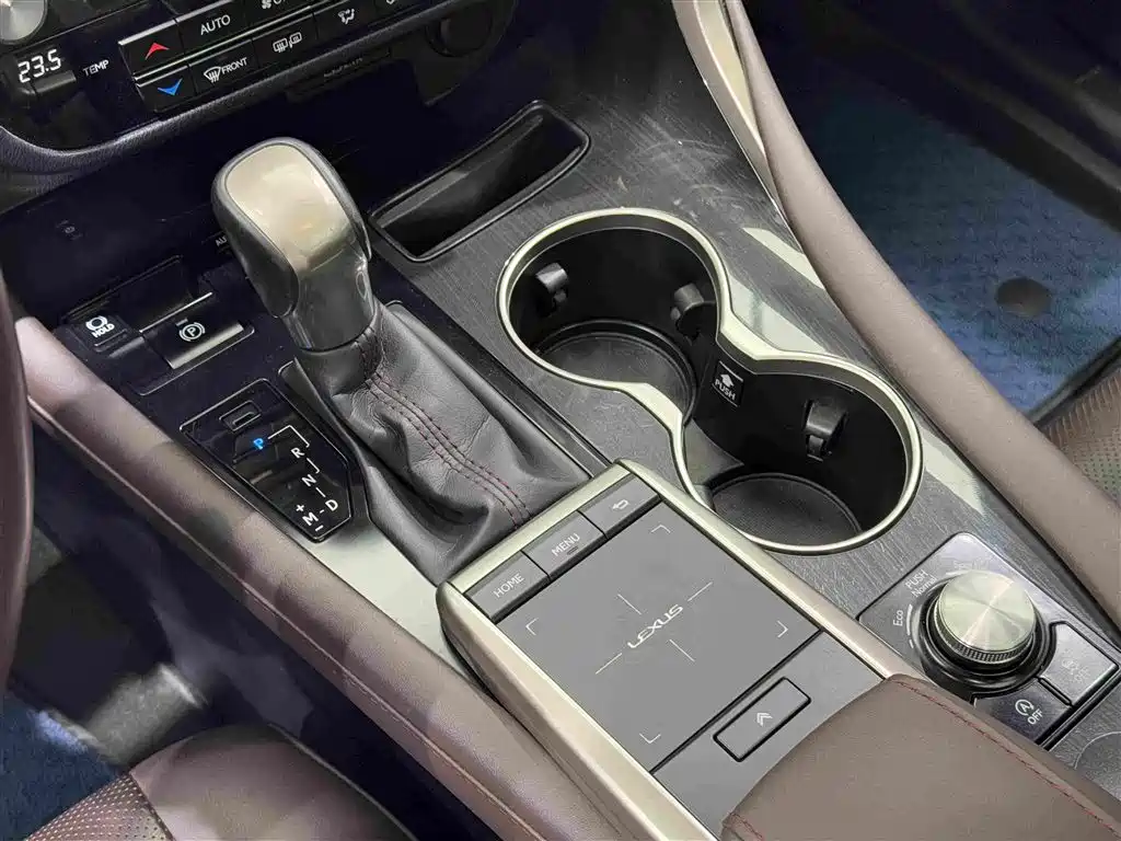 Lexus RX 2020 300 Elegant VI