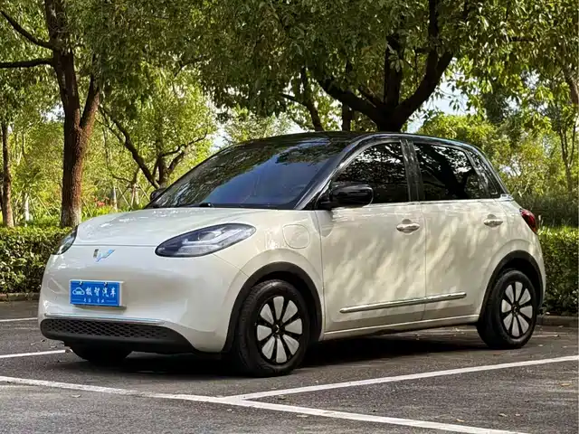 2024 Wuling Motors Binguo