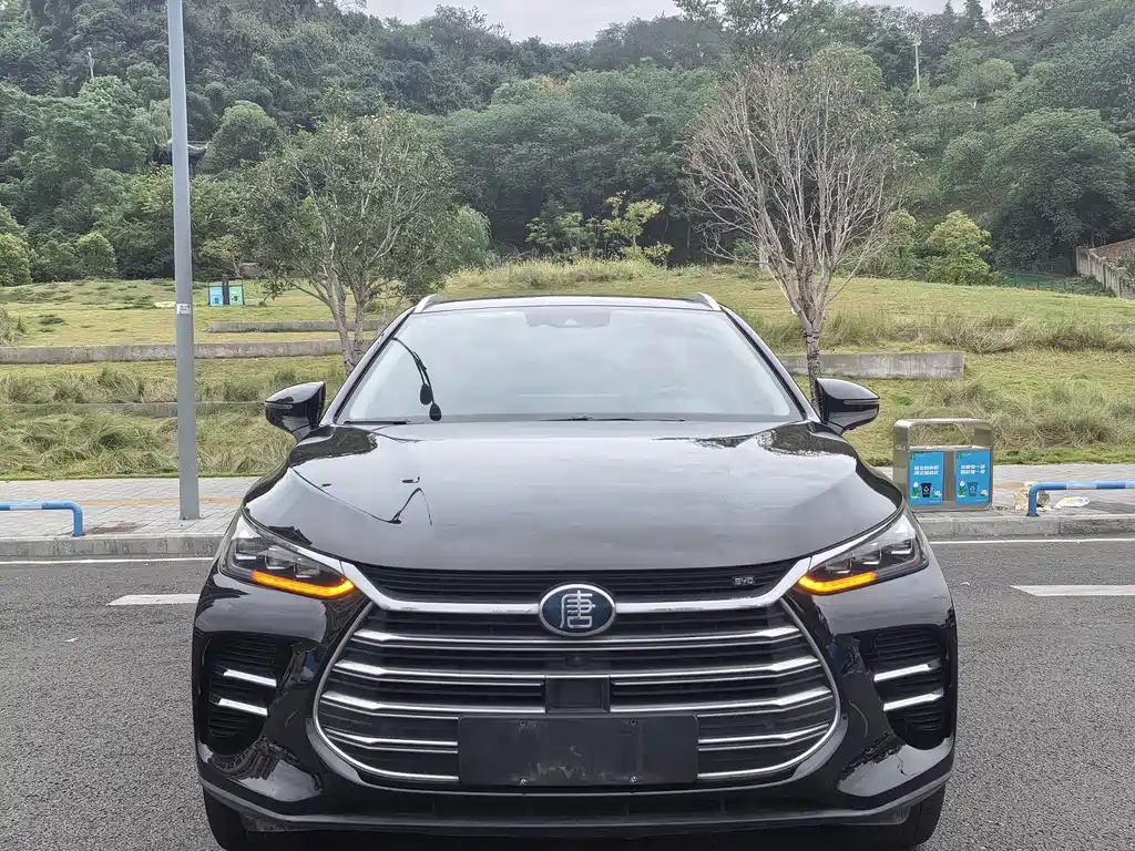 BYD Tang New Energy — миниатюра 2