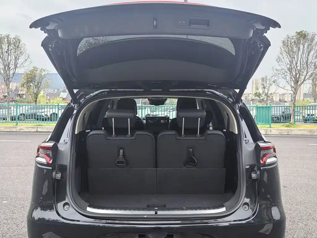 BYD Tang New Energy — миниатюра 14