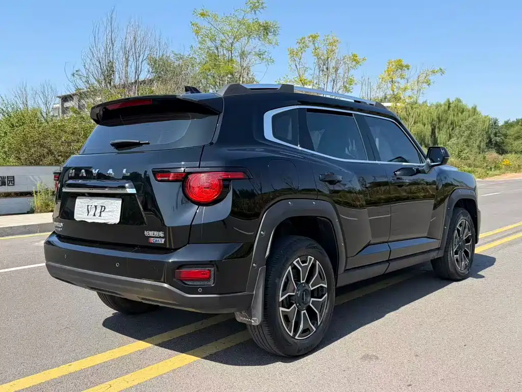 Haval Big Dog PLUS New Energy — миниатюра 7
