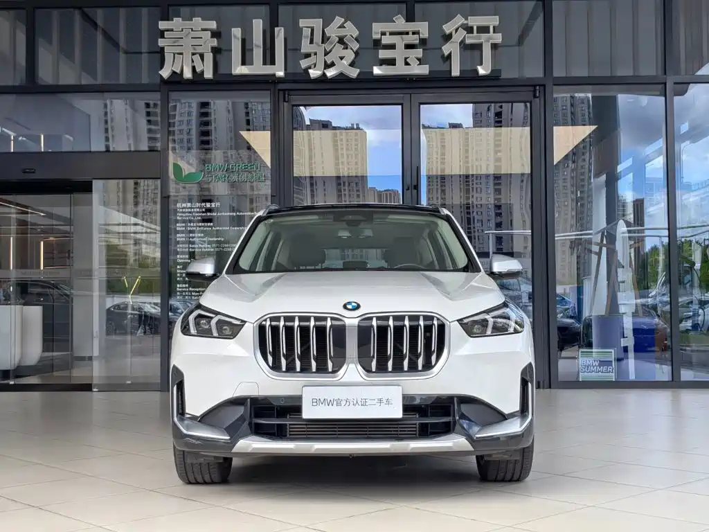 BMW X1 — миниатюра 2