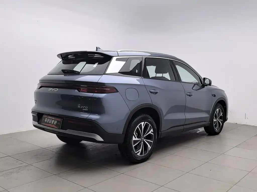 BYD Pro New Energy — миниатюра 2