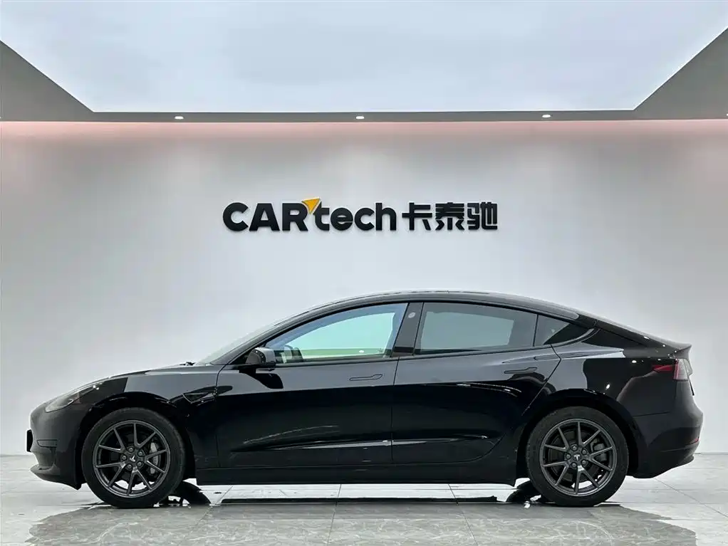 Tesla Model 3 2021 3D1