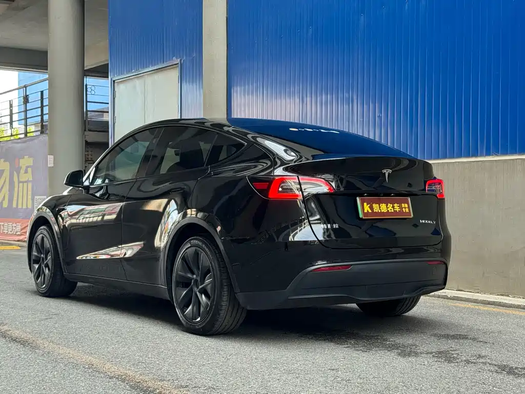 Tesla Model Y — миниатюра 9