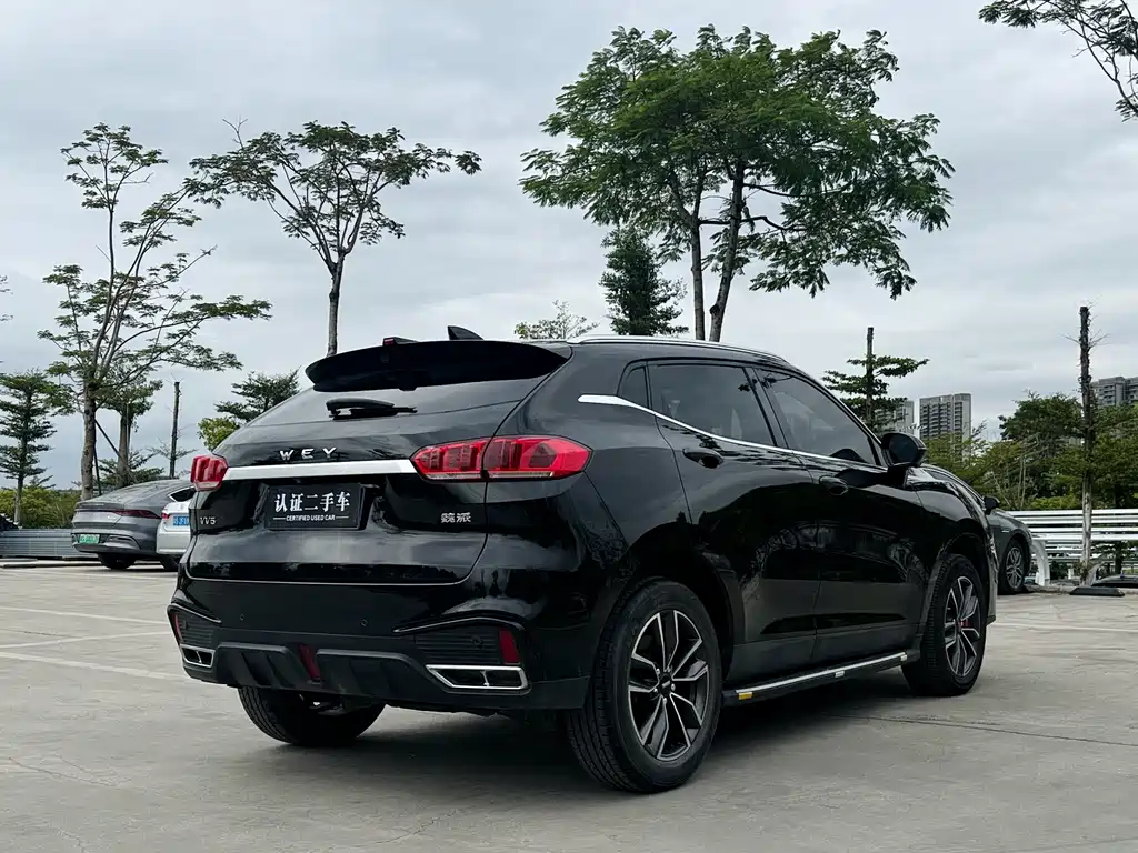 WEI PAI WEI BRAND VV5