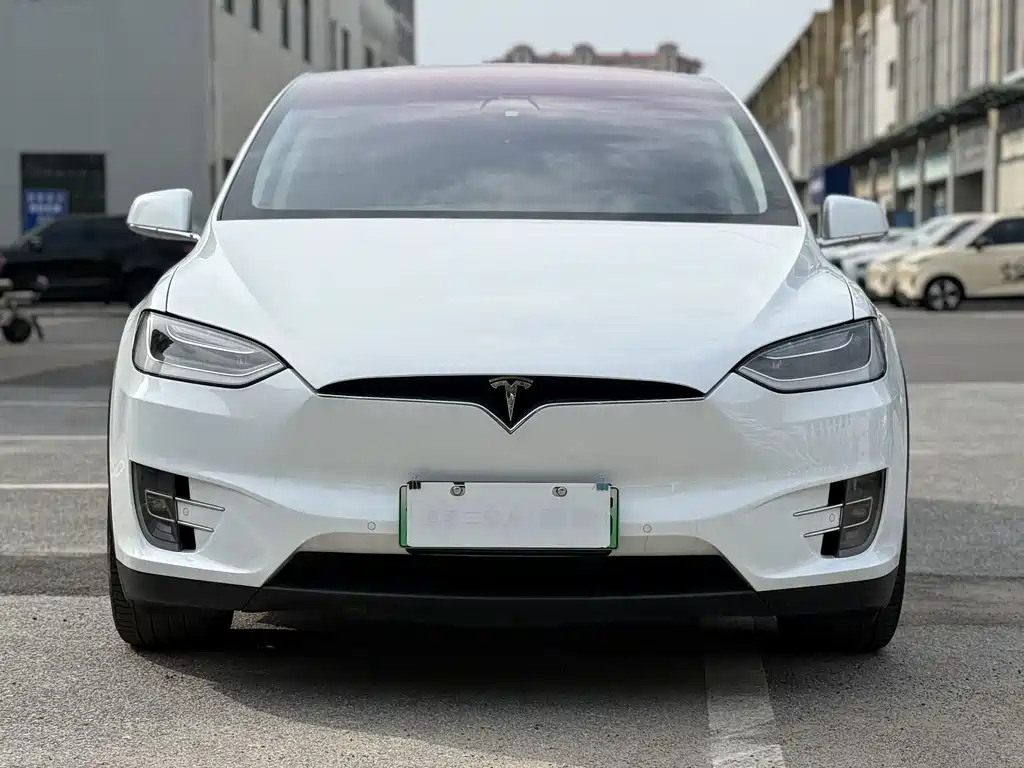 Tesla Model X — миниатюра 2