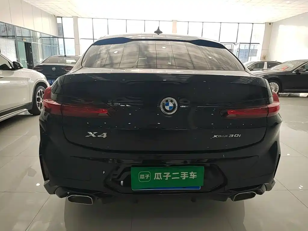 BMW X4 — миниатюра 6