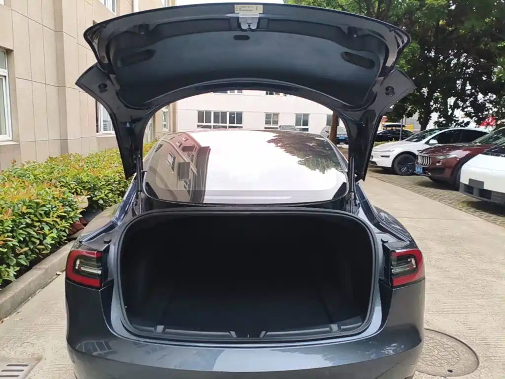 Tesla Model 3 — миниатюра 19