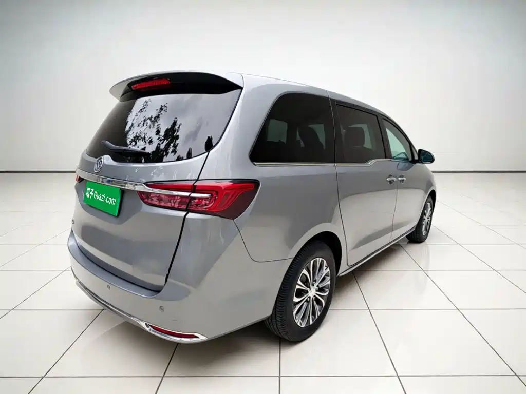 Buick GL8 — миниатюра 6