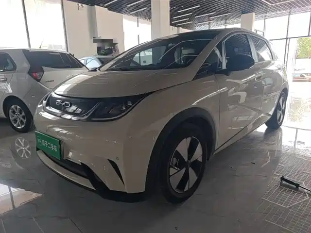 2023 BYD Dolphin