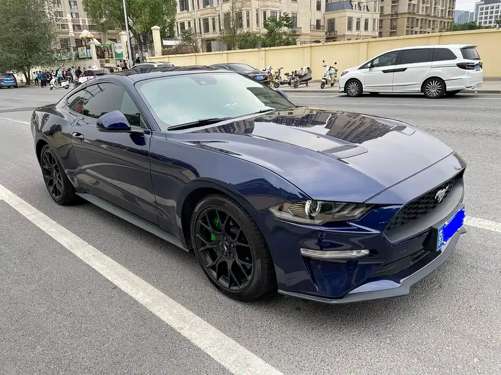 Ford Mustang — миниатюра 3