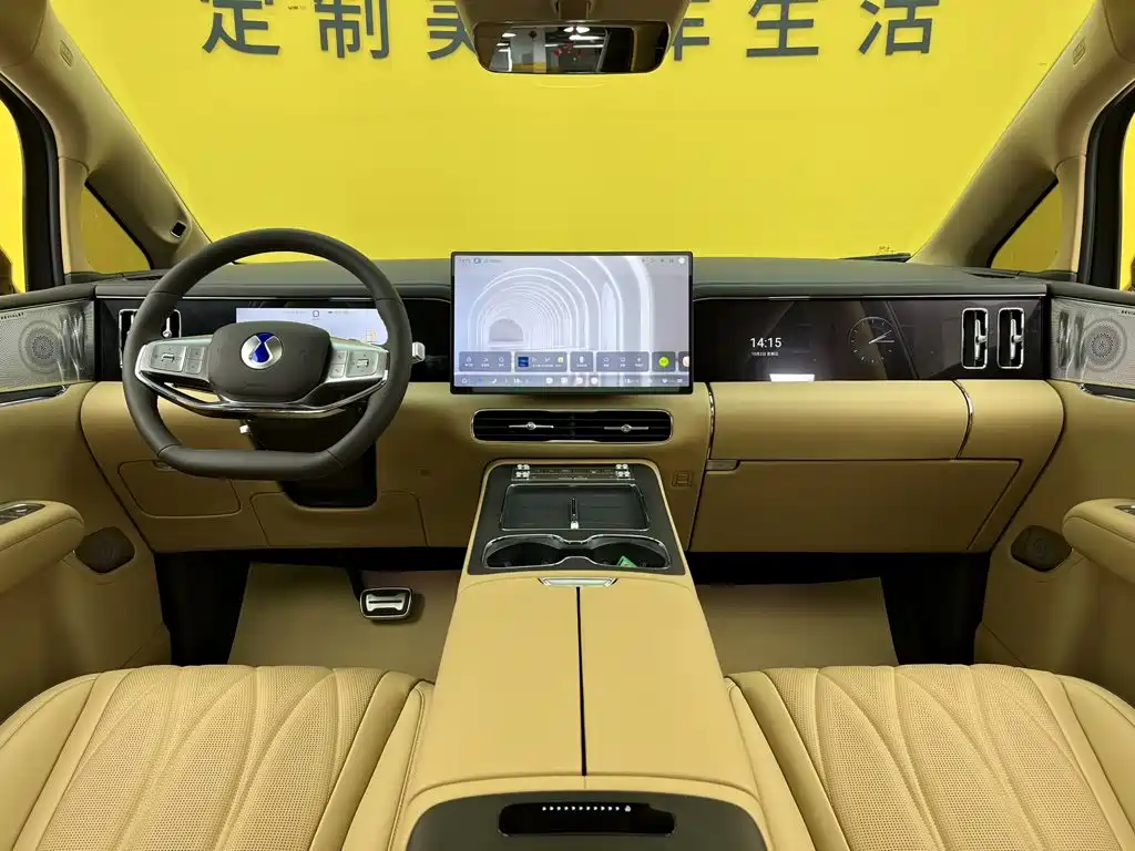 Denza Denza D9 — миниатюра 14