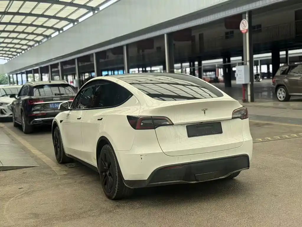 Tesla Model Y — миниатюра 8