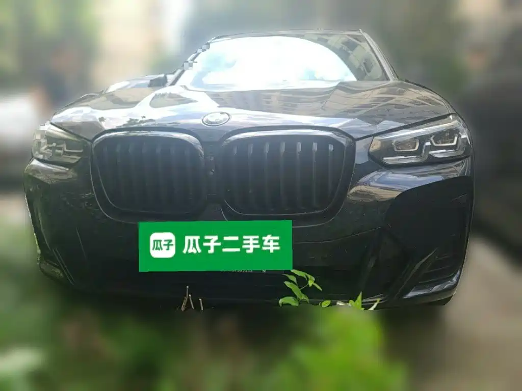 BMW X3 — миниатюра 2